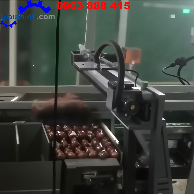 Dây chuyền đóng gói sản phẩm tự động