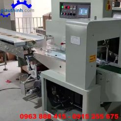 Máy đóng gói nằm ngang
